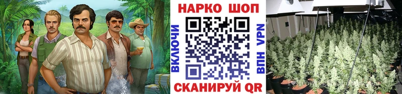 Названия наркотиков Инза А ПВП  COCAIN  Меф мяу мяу  Псилоцибиновые грибы  МАРИХУАНА 