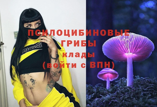 марихуана Приозерск