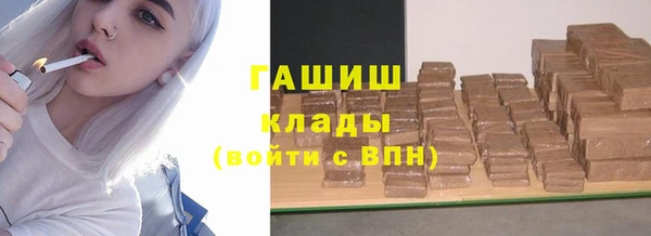 стафф Арсеньев